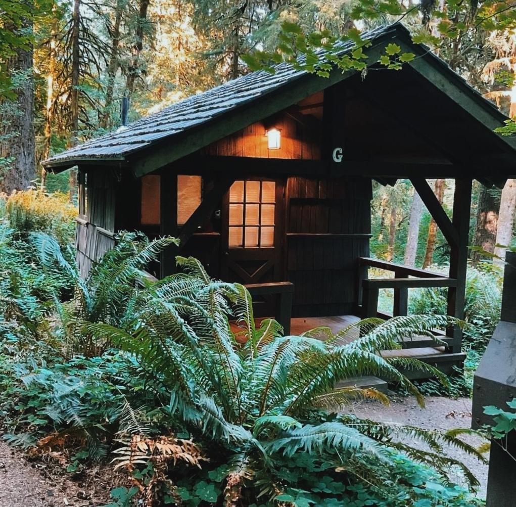 The Smith Creek Village Outdoor Hotel At Silver Falls State Park Sublimity Kültér fotó