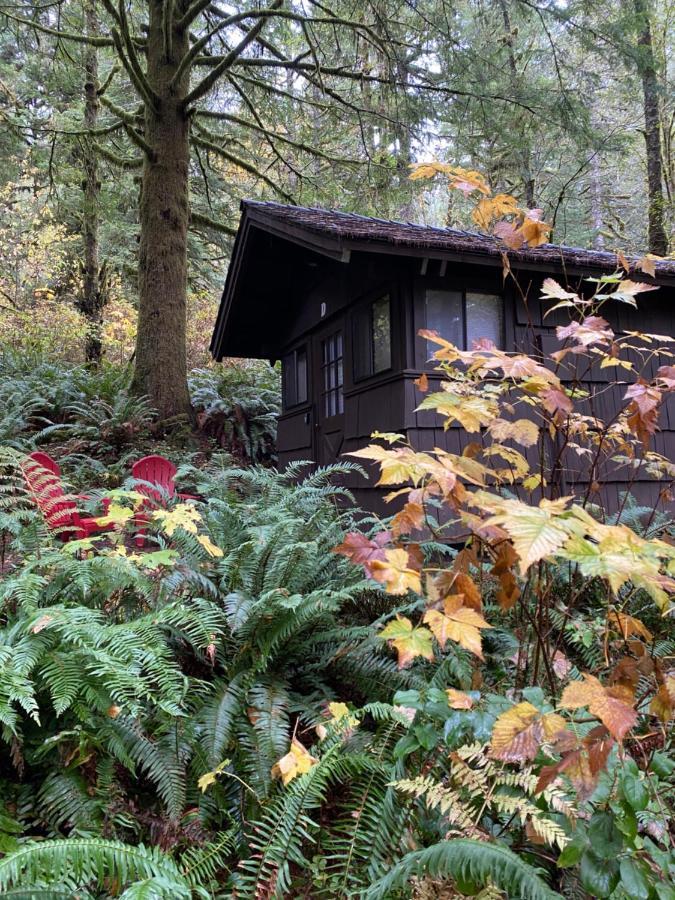 The Smith Creek Village Outdoor Hotel At Silver Falls State Park Sublimity Kültér fotó